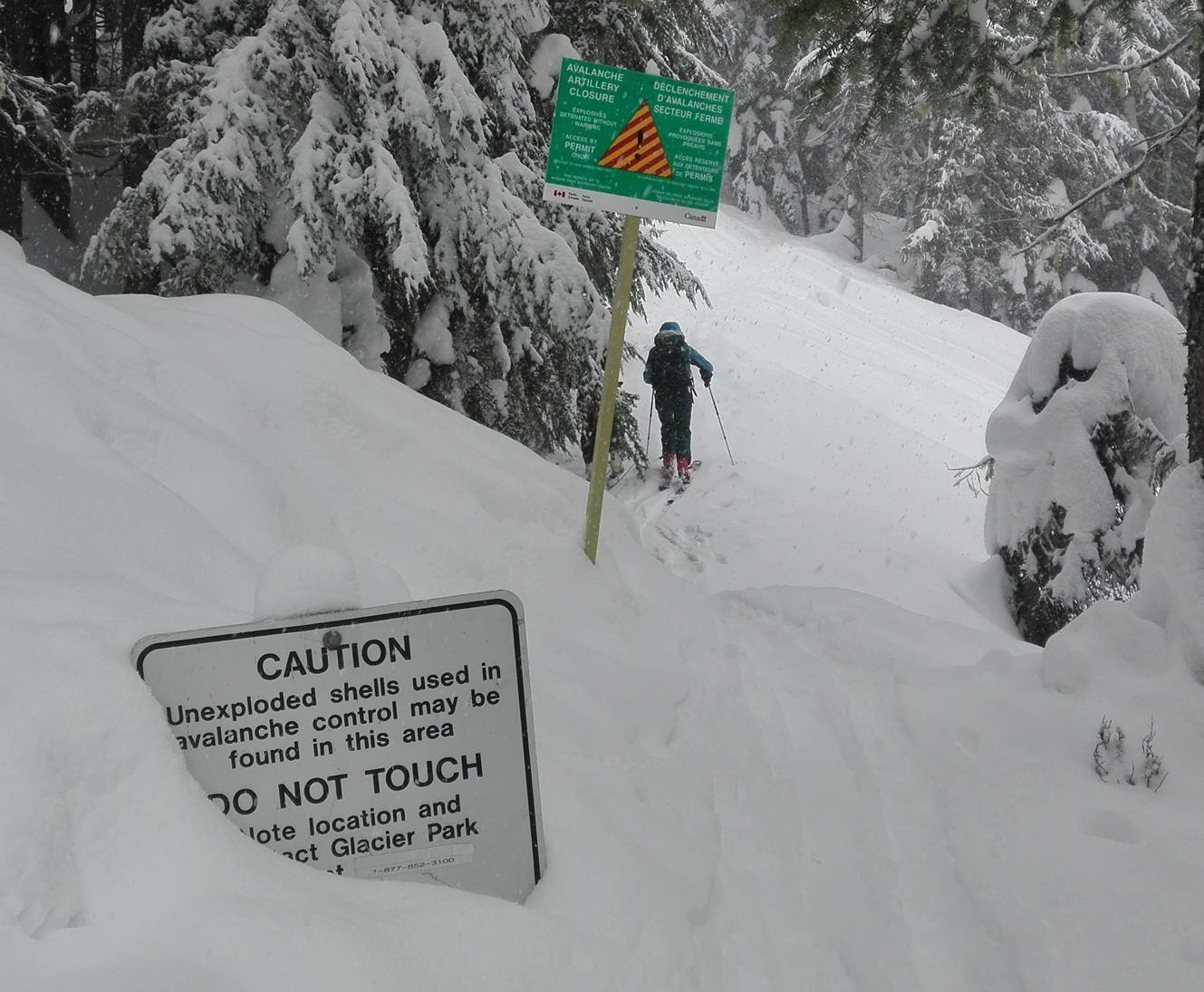 Viaggi Sport Sci Snowboard Canada Rogers Pass