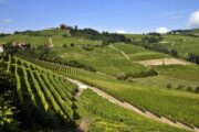 Bike Italy Piemonte Langhe Unesco Site Cyclcing Adventure